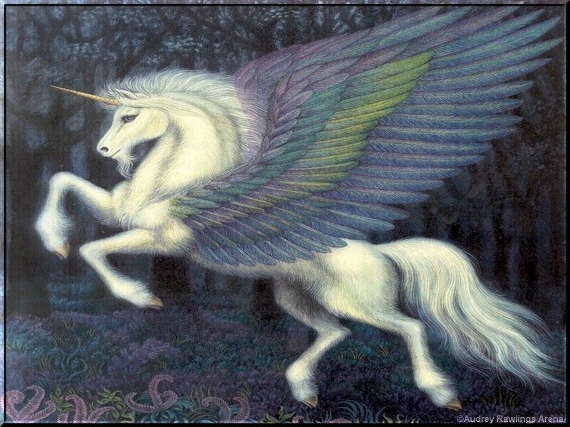 winged unicorn in forest