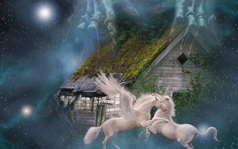 Winged Unicorns