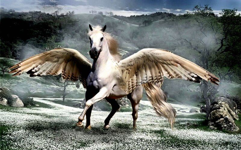 Winged White Horse — Dramatic, Digital Art, Wings