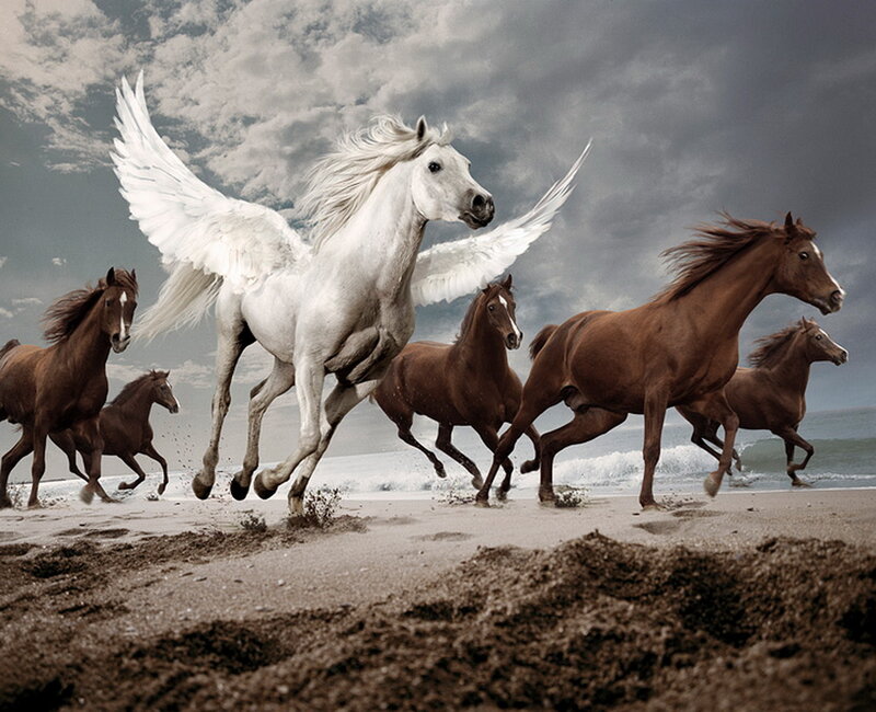 Winged White Horse Running