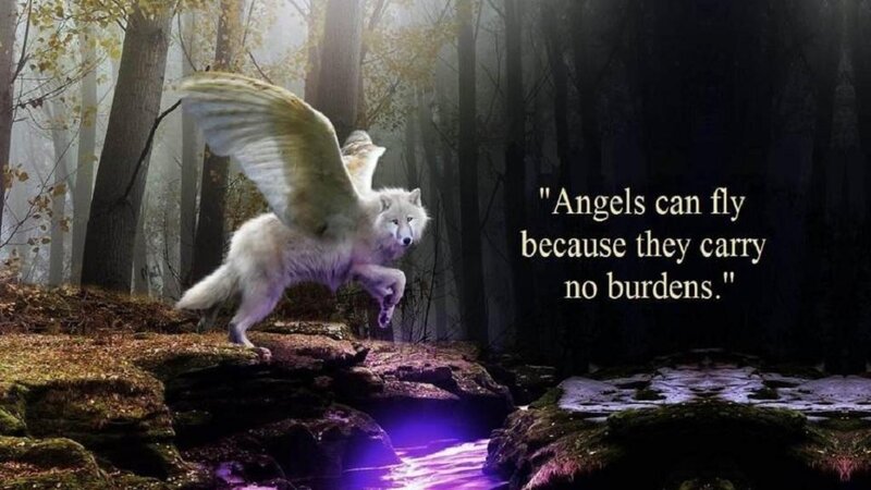 Winged White Wolf — Mystical, Autumn