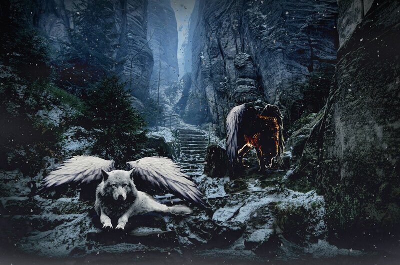 Winged Wolf in Snow