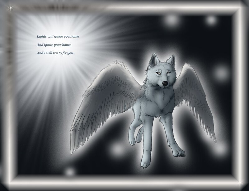 Winged Wolf with Light