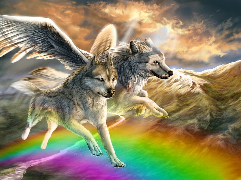 Winged Wolves in Flight