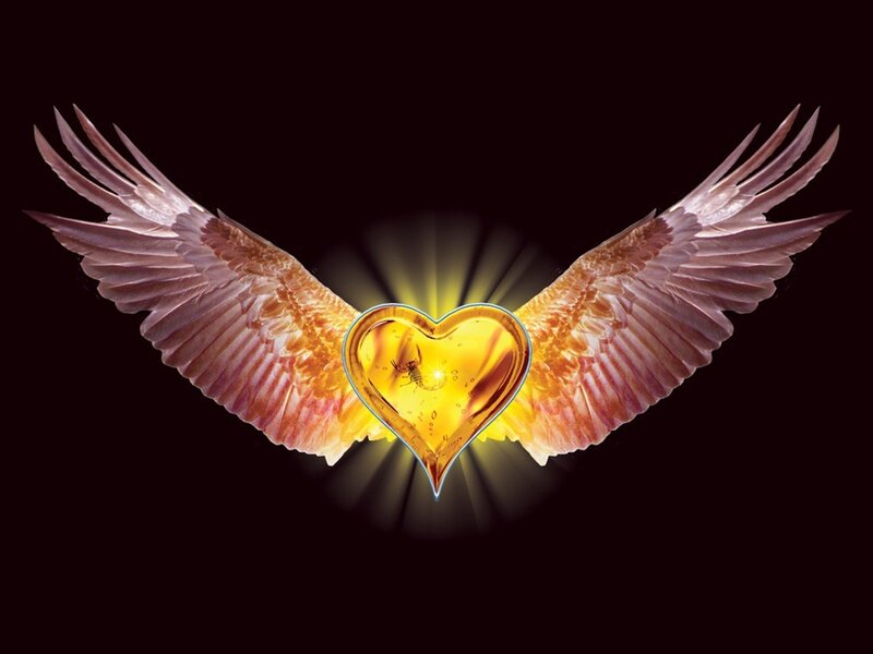 wings and heart with scorpion