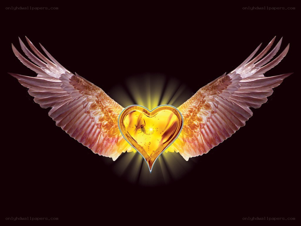 wings and heart with scorpion