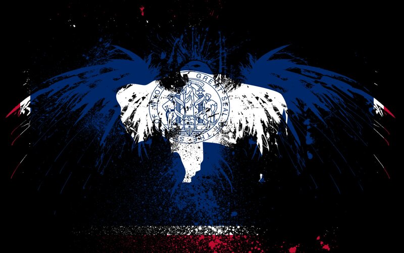 Wings with State Seal