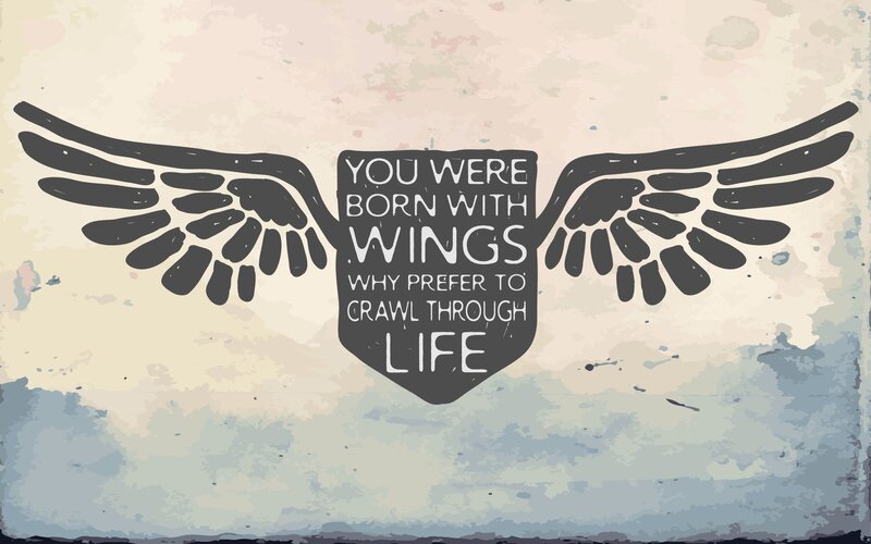 Wings with Text — Gray