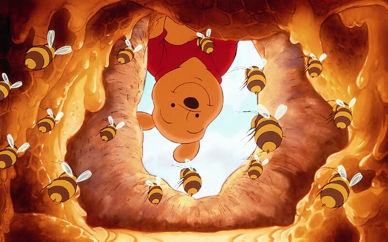 Winnie the Pooh in Honeycomb