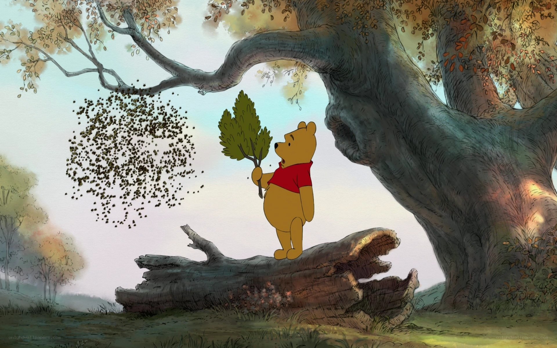 Winnie the Pooh in the forest