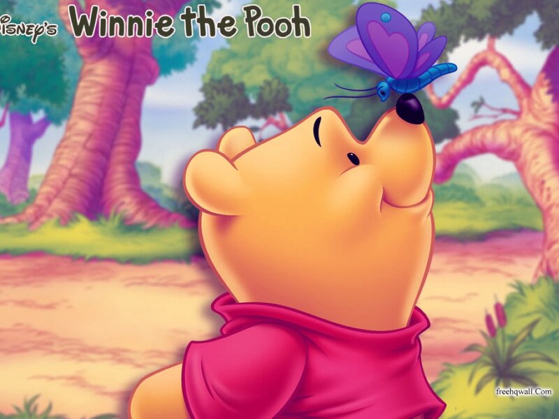 Winnie the Pooh with Butterfly