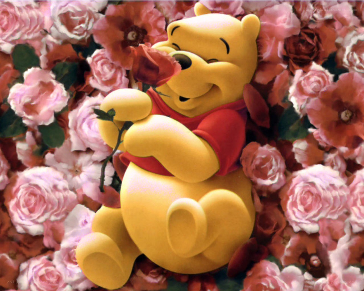 Winnie the Pooh with roses