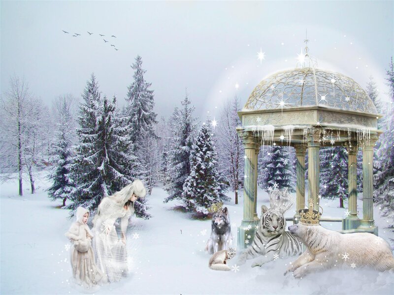 Winter Animals in Snow