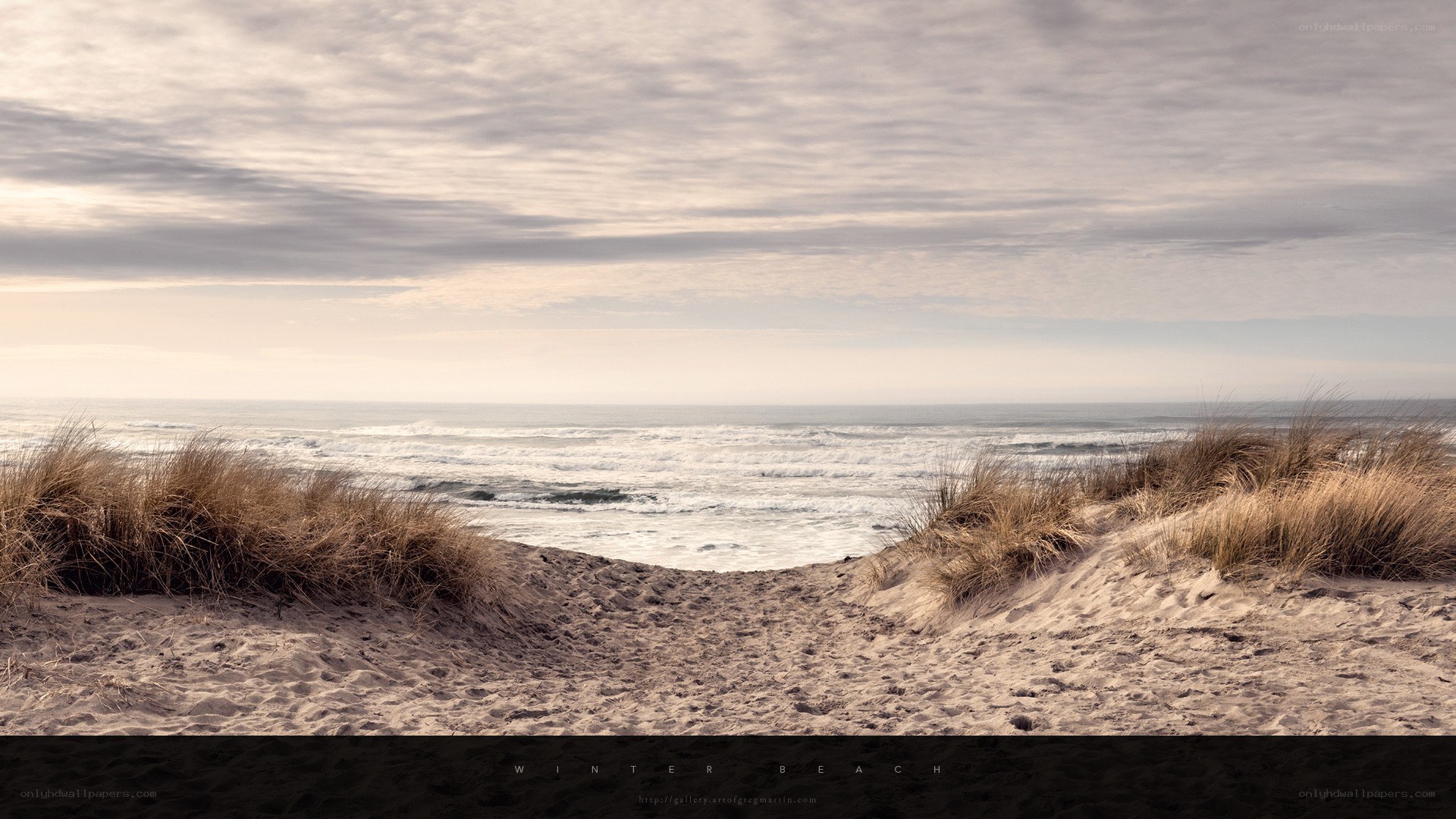 Winter beach path