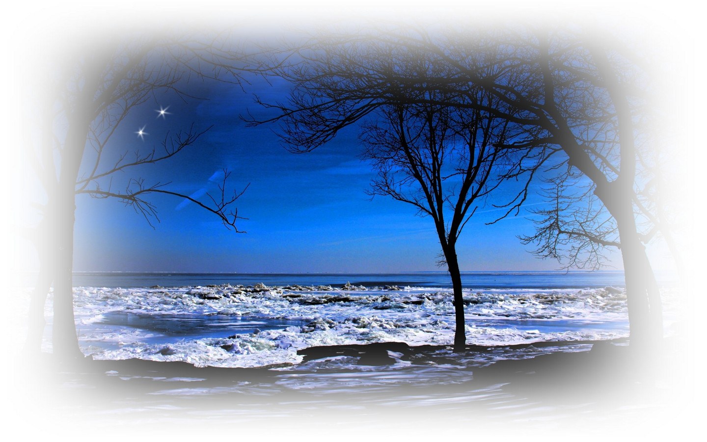 Winter beach with ice and stars