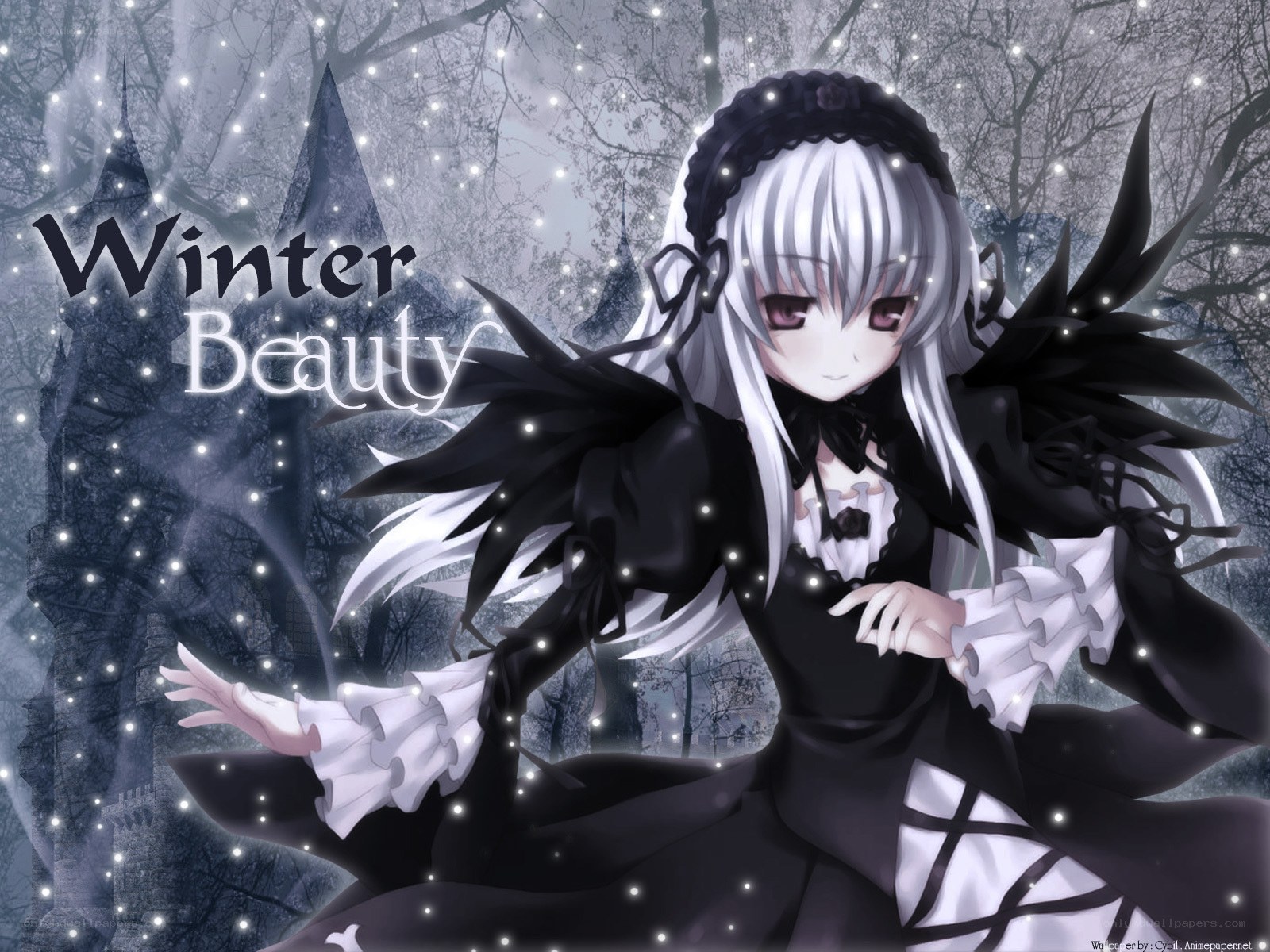 Winter Beauty