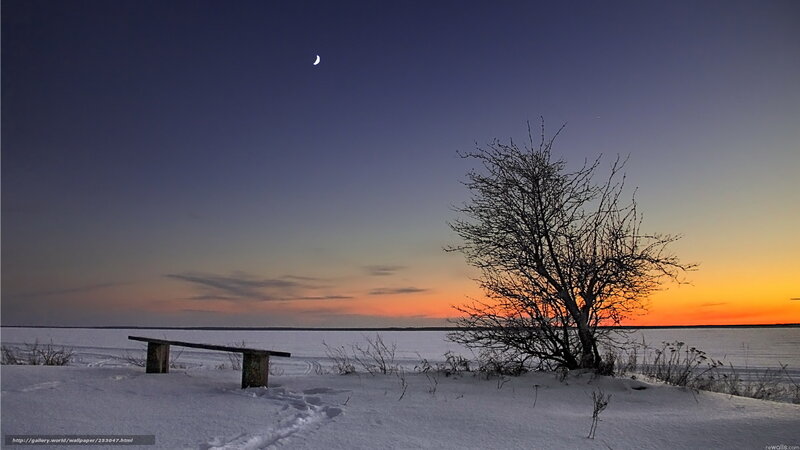 Winter bench at sunset