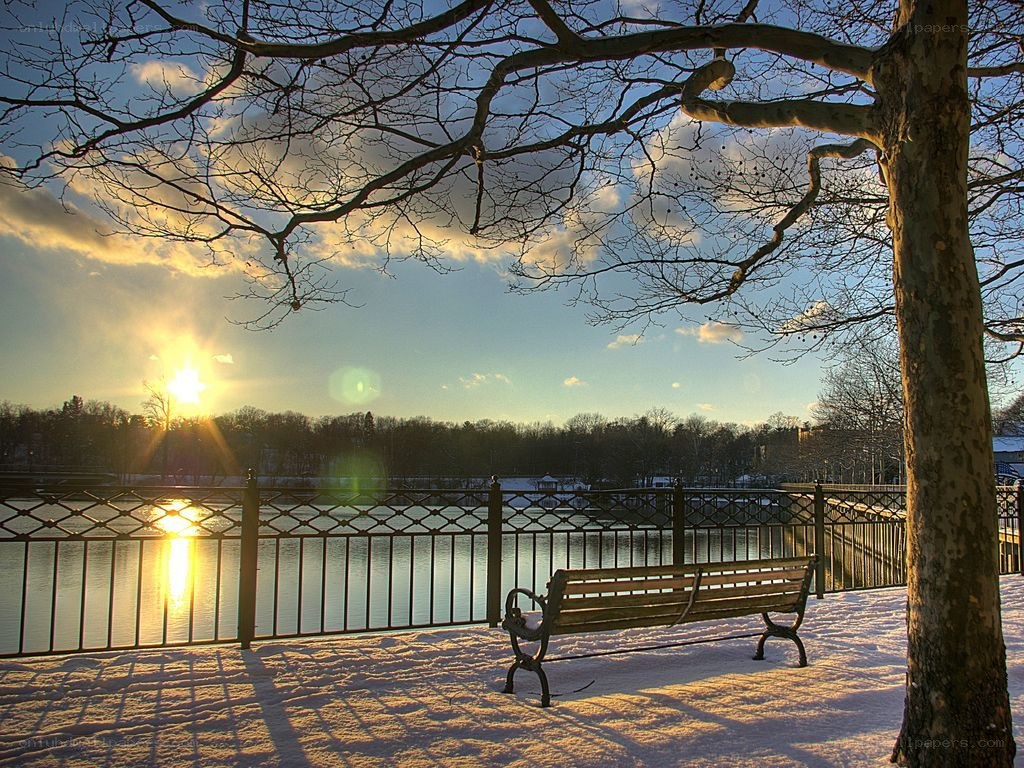 Winter bench by the lake