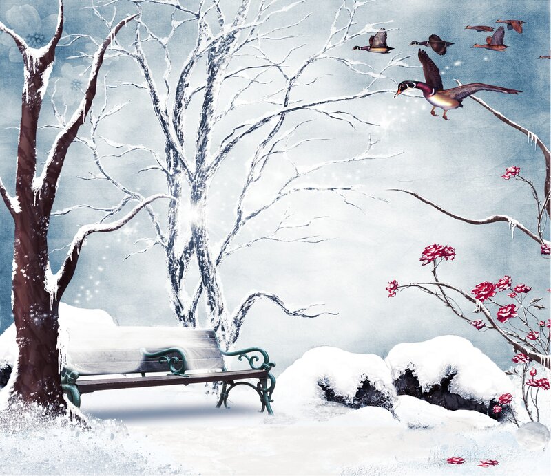 Winter bench with flying ducks