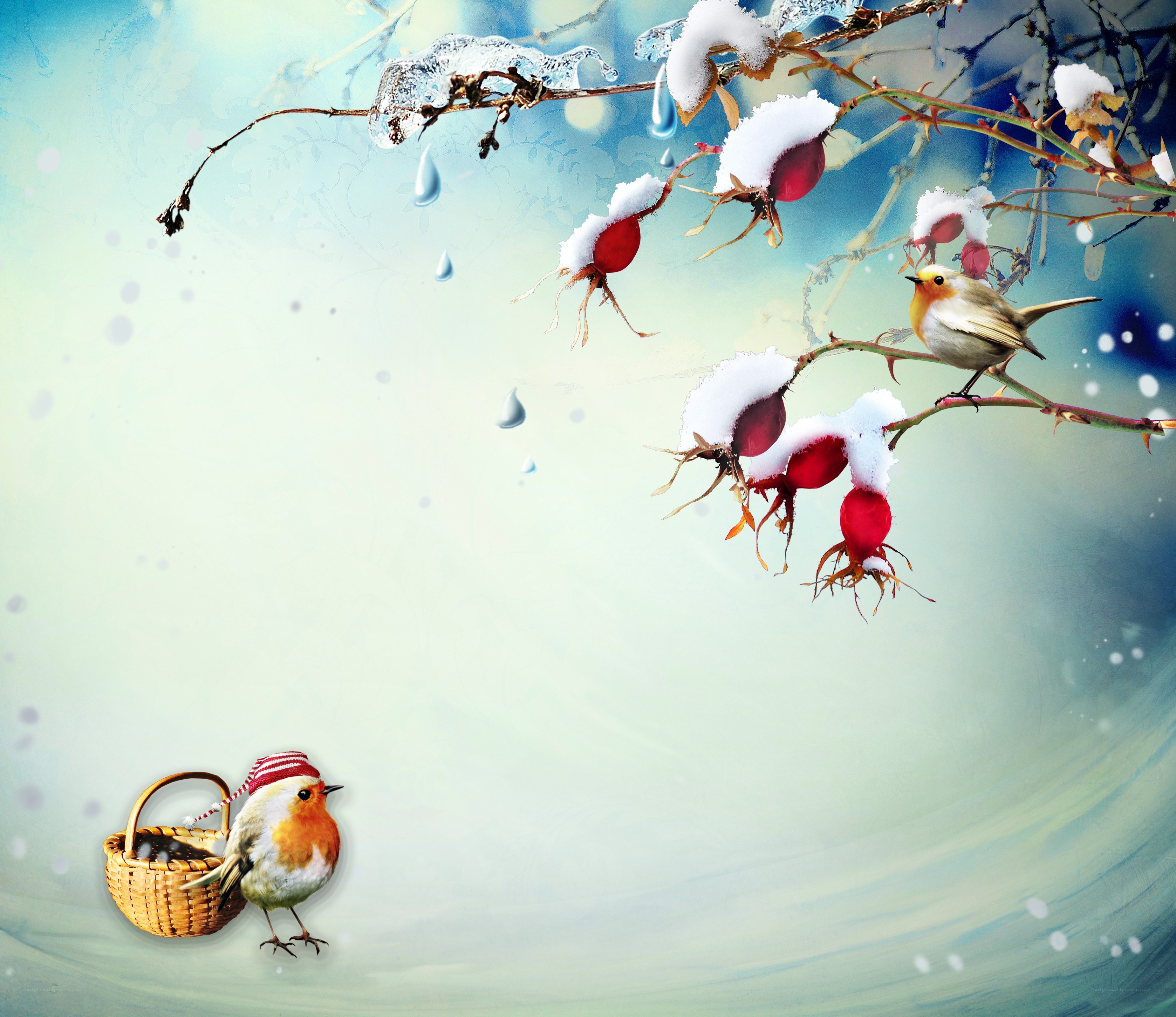Winter birds on snowy branches