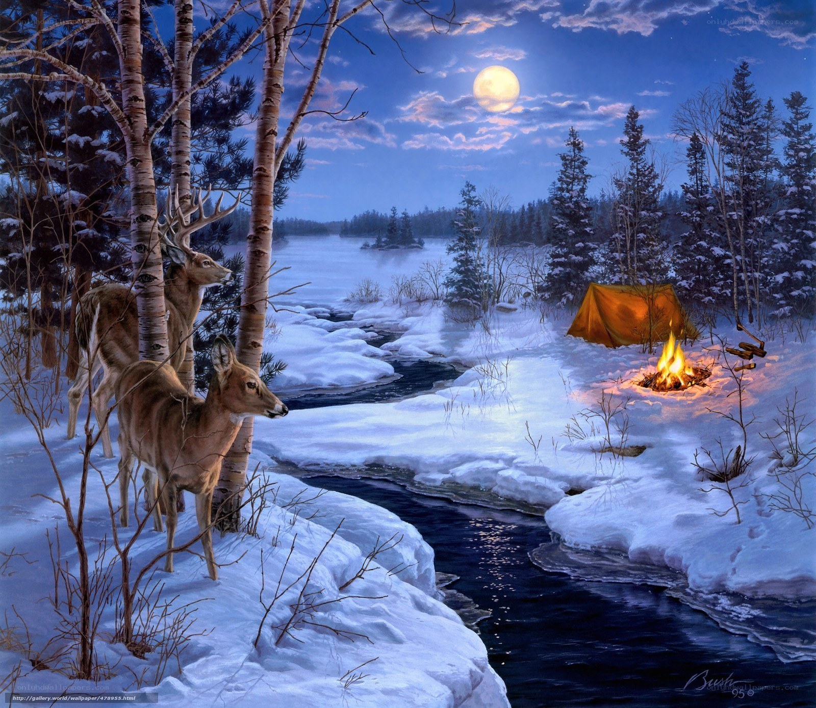 Winter campsite under moonlight