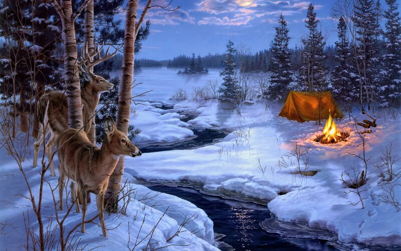 Winter campsite with deer