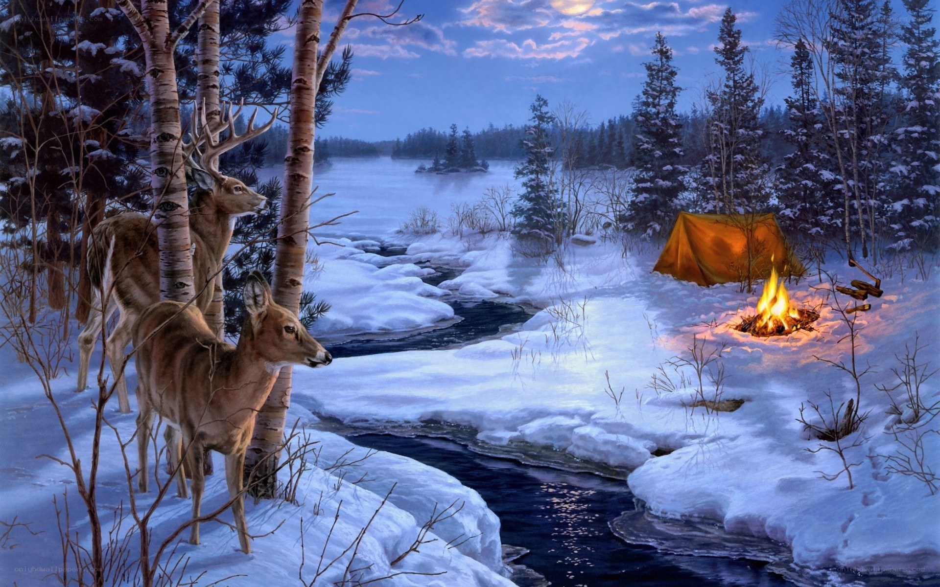 Winter campsite with deer