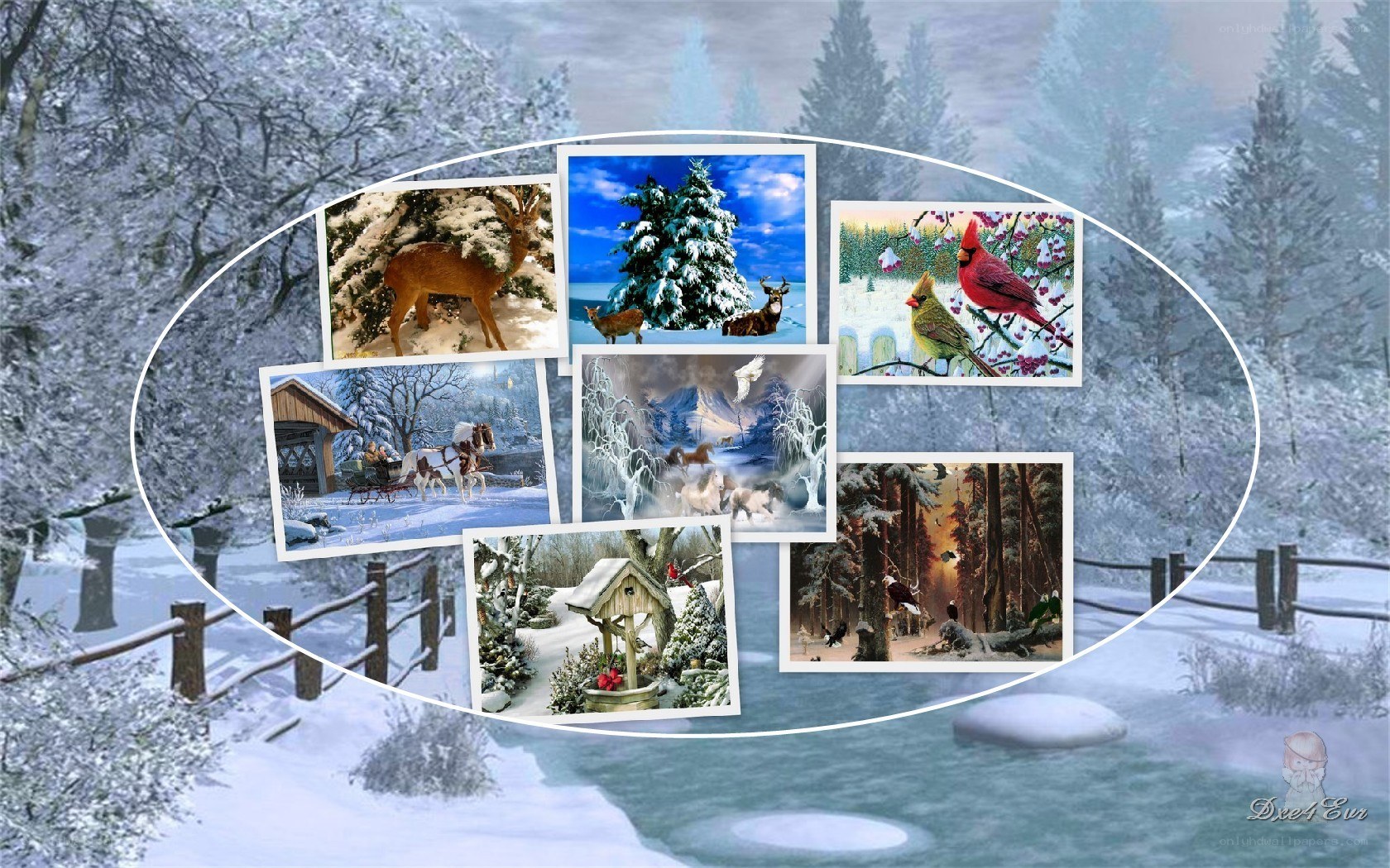Winter collage with nature scenes