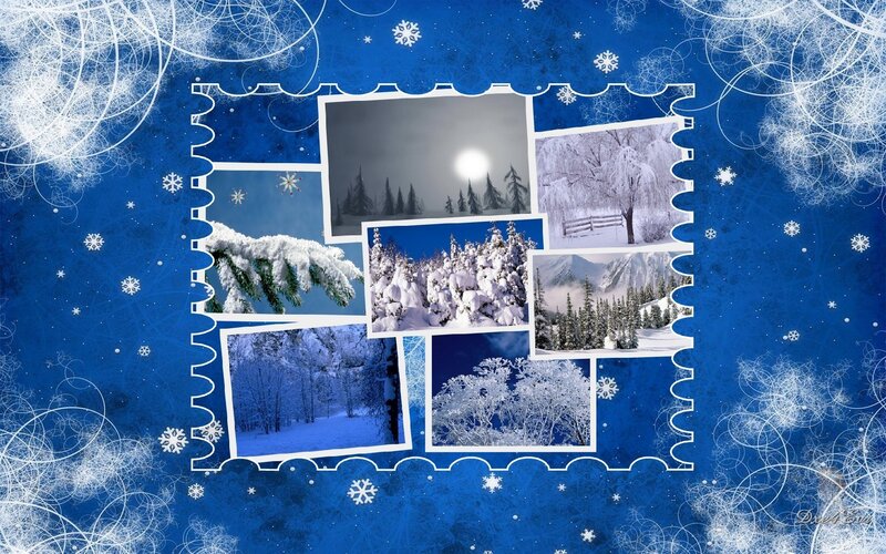 Winter collage with snow scenes
