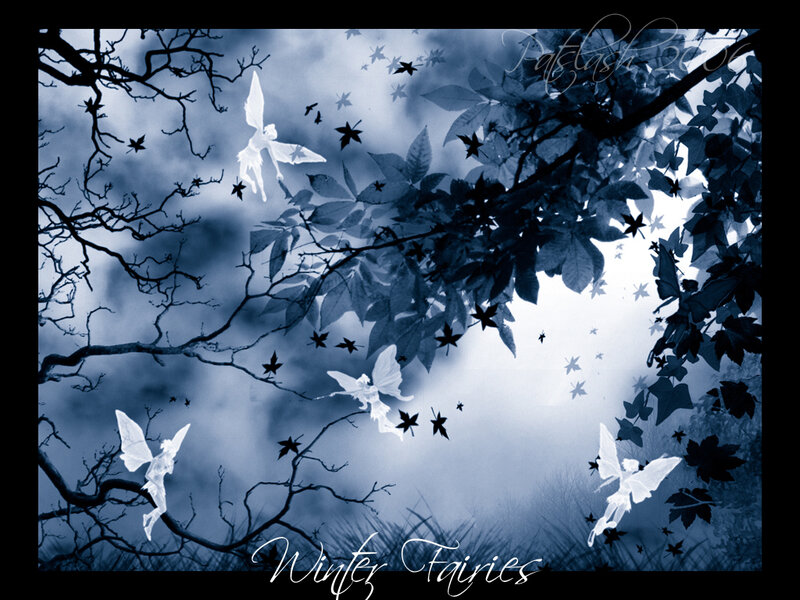 Winter Fairies