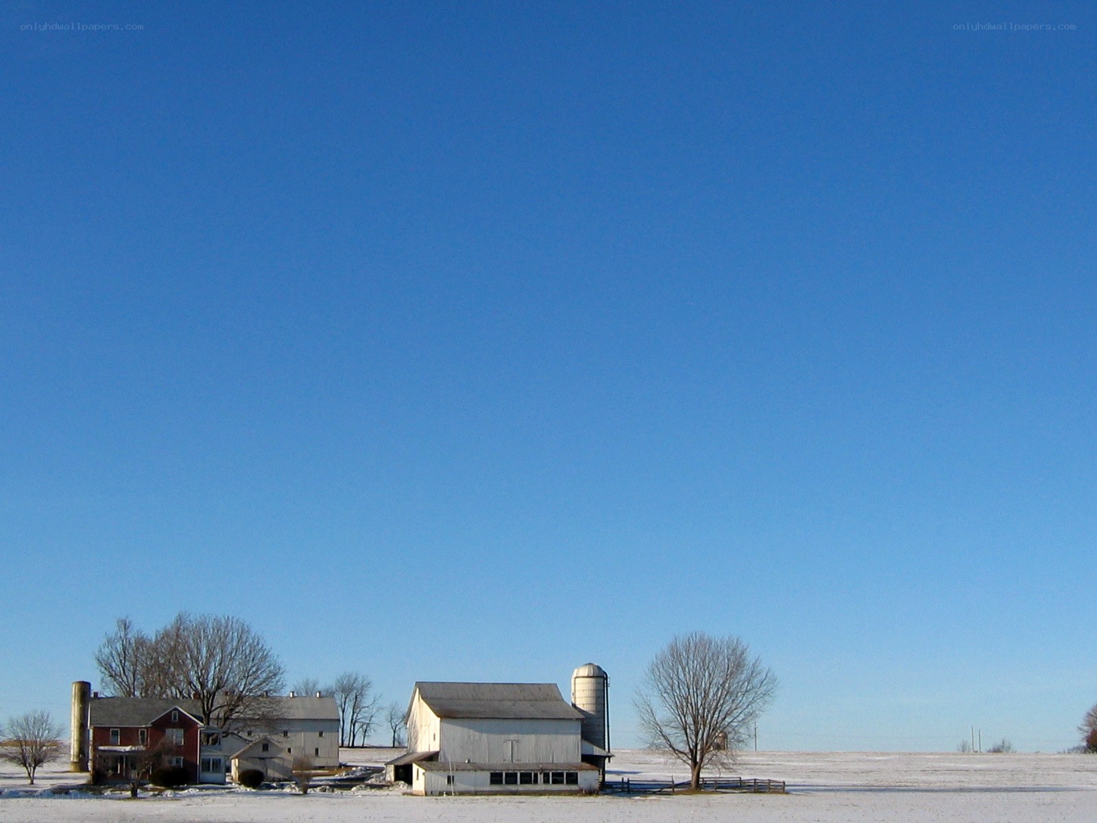 Winter farm under clear blue sky
