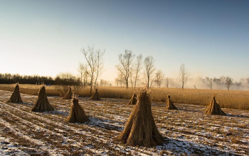 Winter field with hay stacks