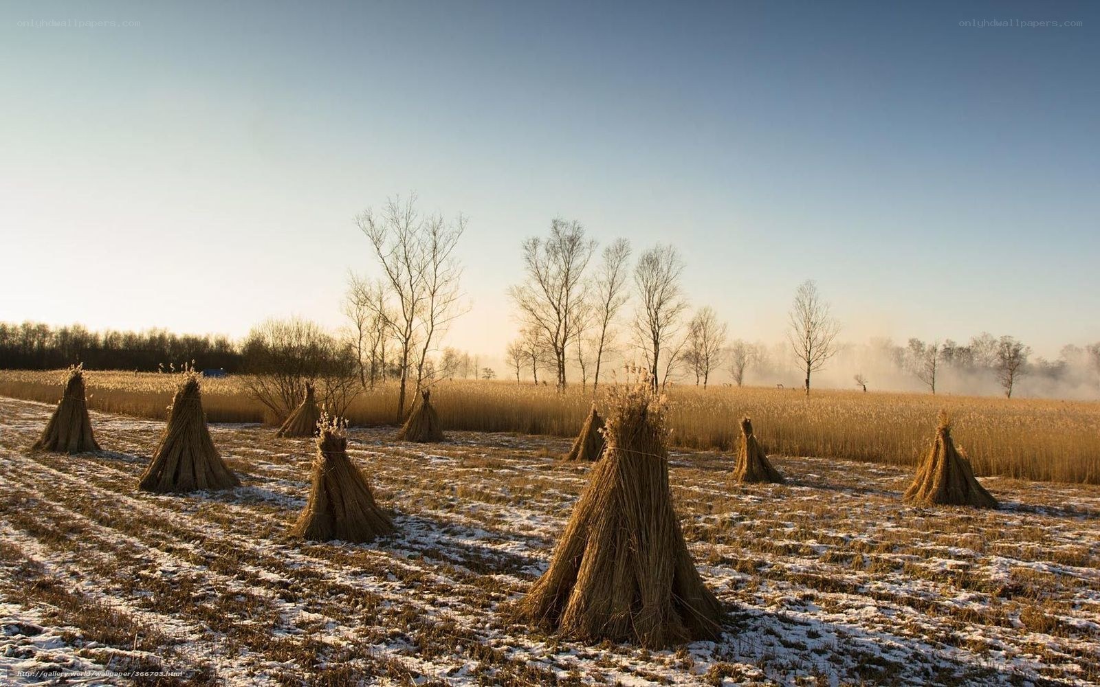 Winter field with hay stacks