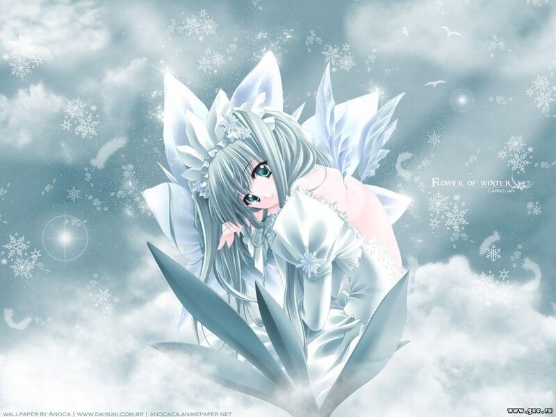Winter flower fairy