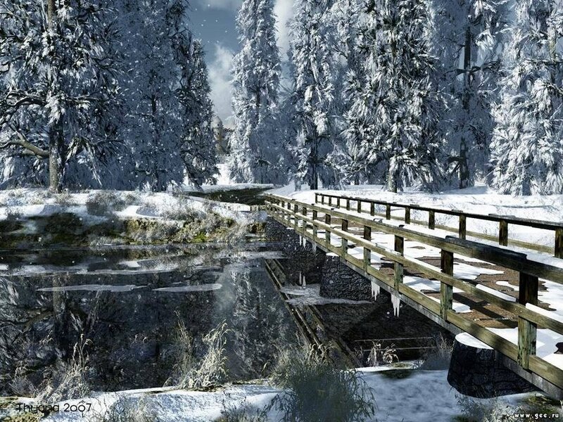 Winter forest bridge scene