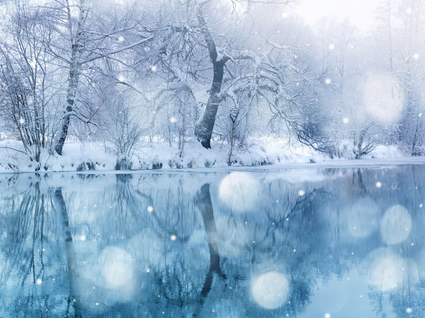Winter forest by a calm lake