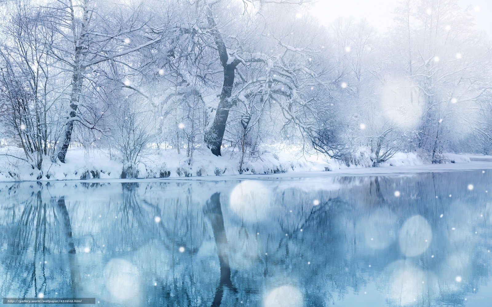 Winter forest by a calm river