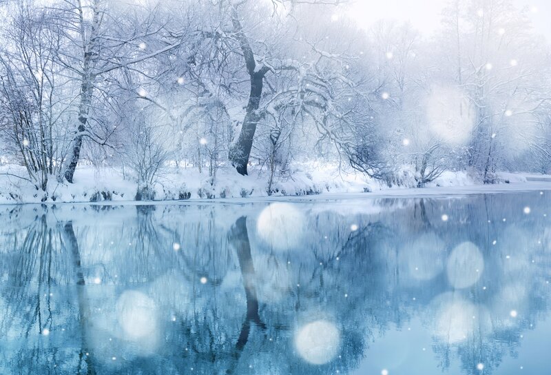 Winter forest by a calm river
