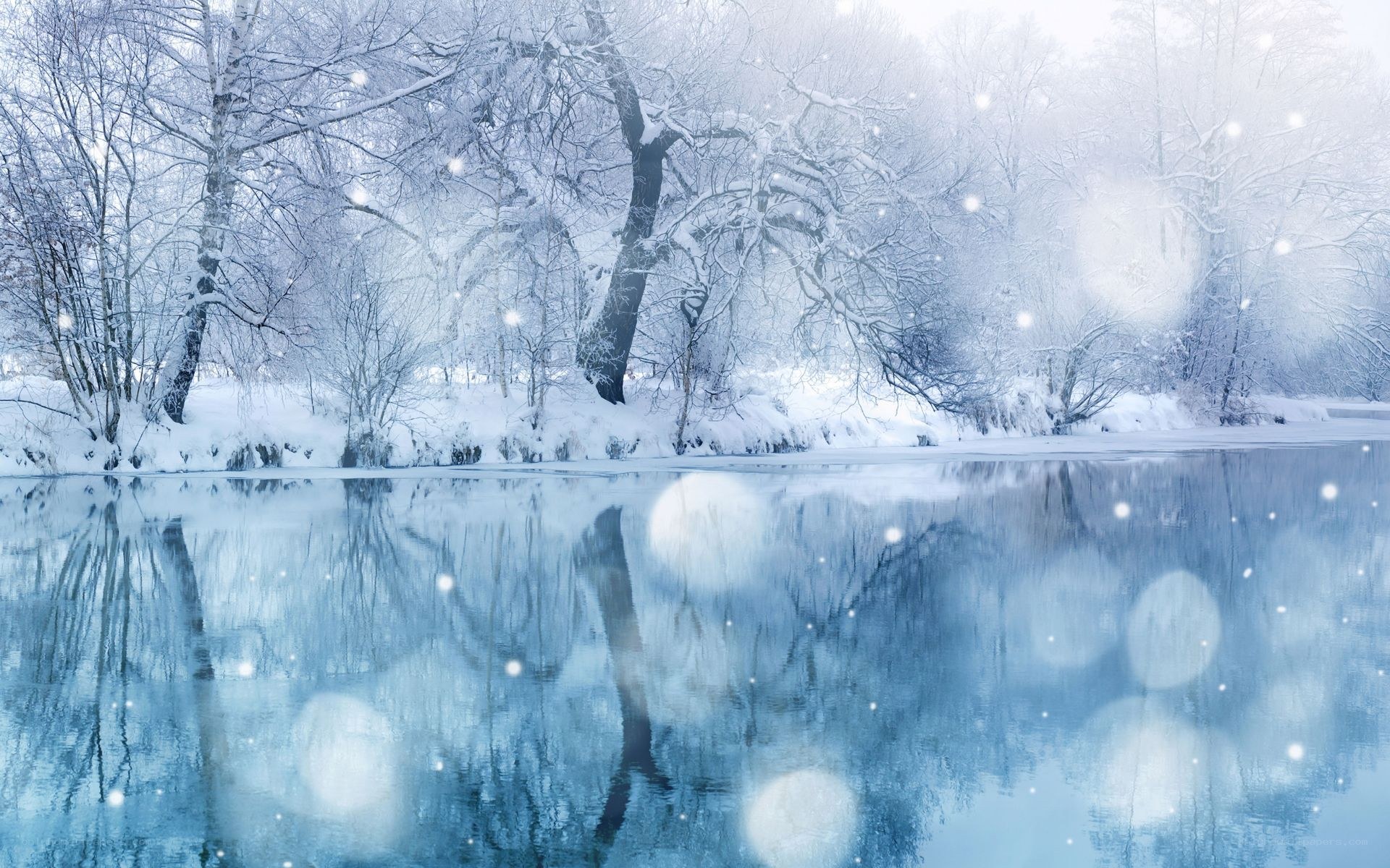 Winter forest by a calm river