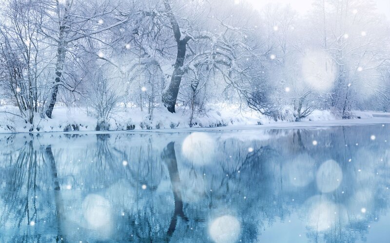 Winter forest by a calm river
