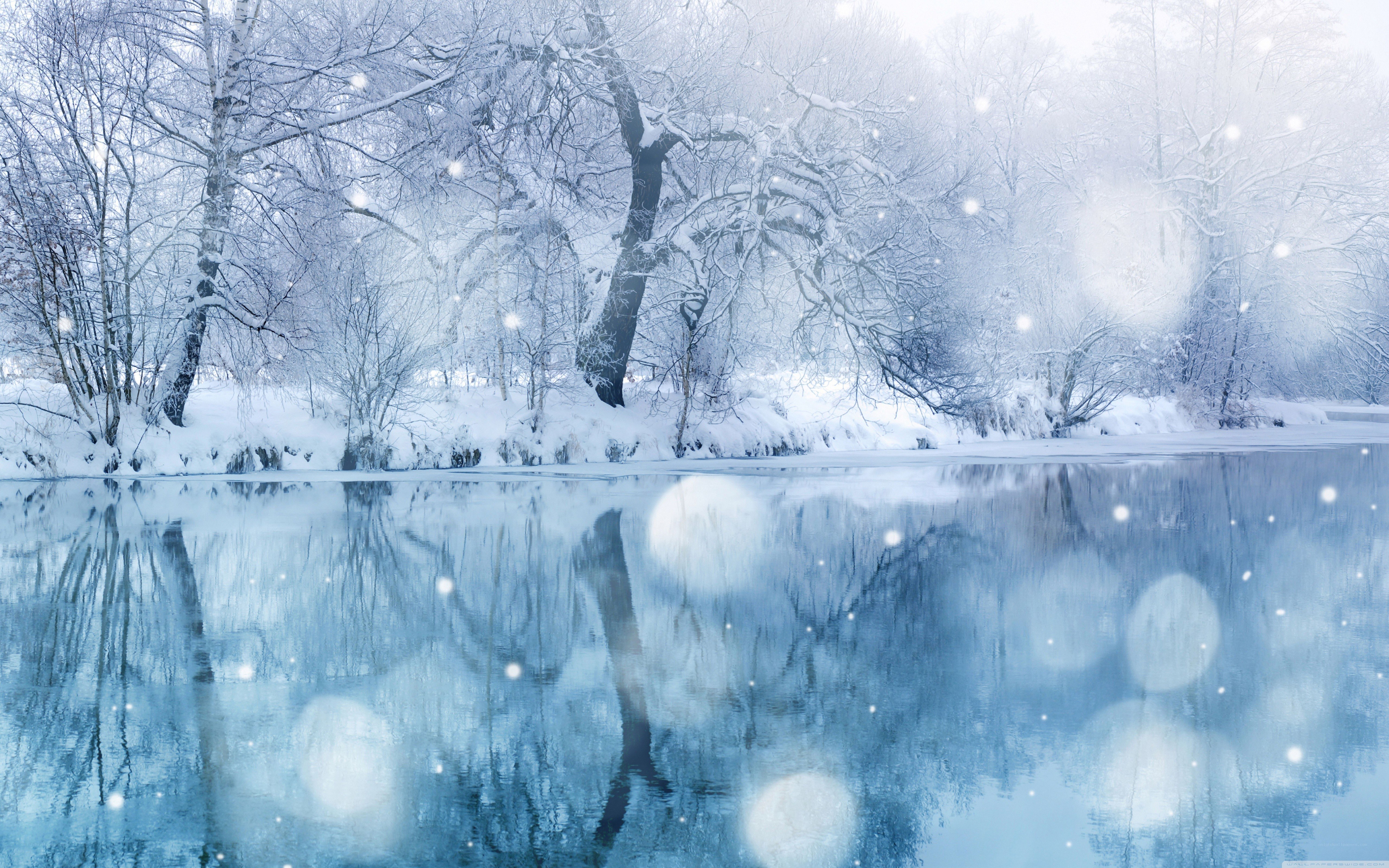 Winter forest by a calm river