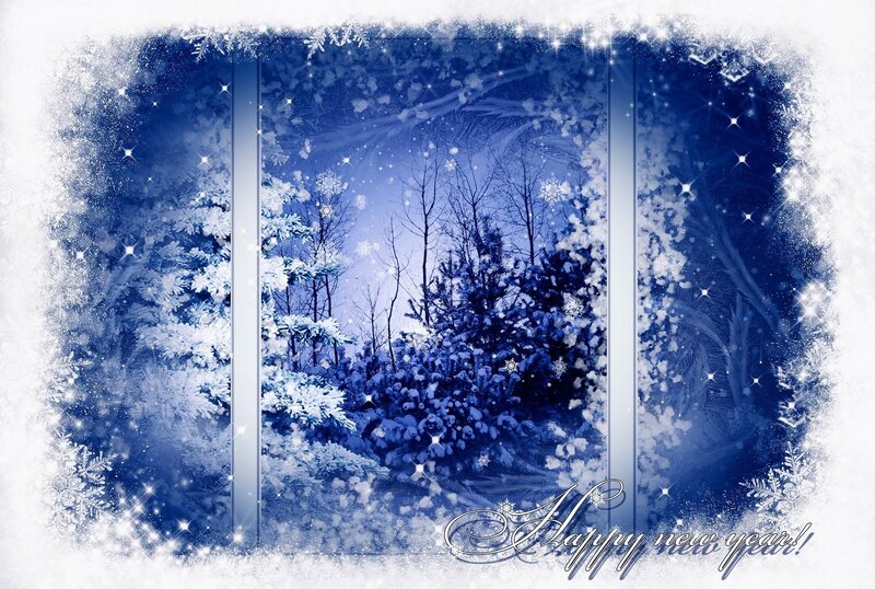 Winter forest greeting
