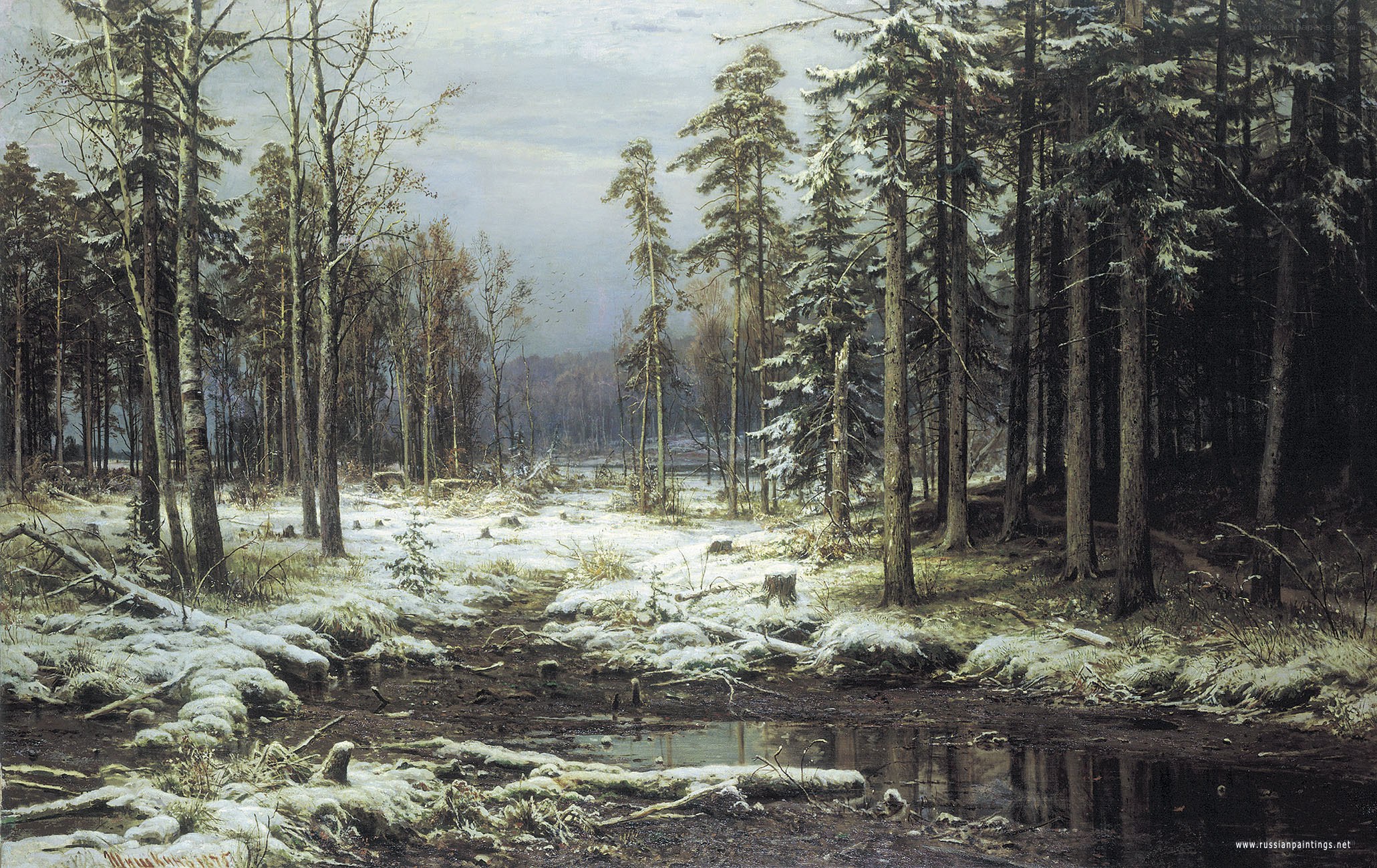 Winter forest landscape