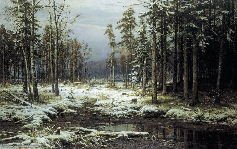 Winter forest landscape