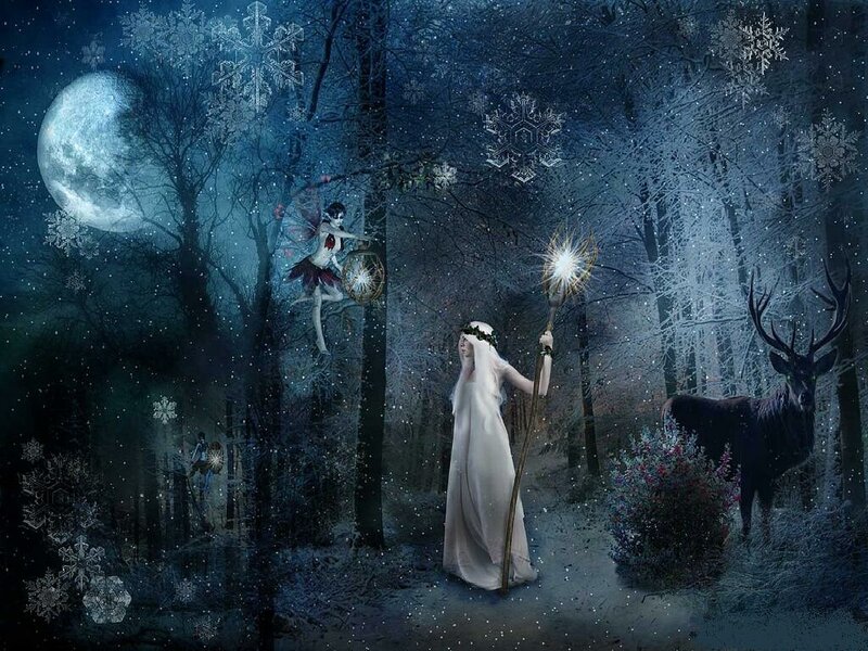 Winter forest magic scene