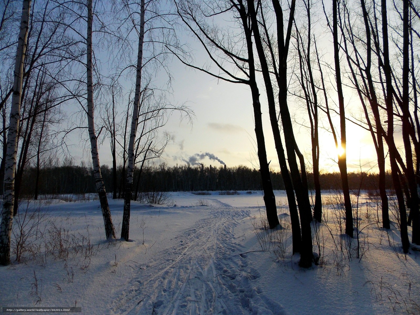 Winter forest path at sunset