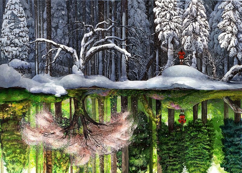 Winter forest reflection