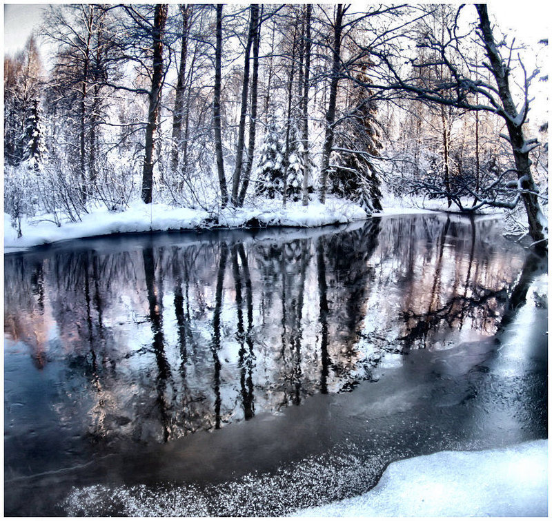 Winter forest river reflection
