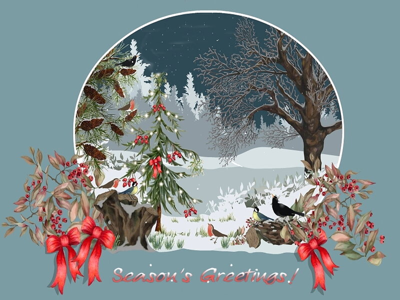 Winter Forest Scene