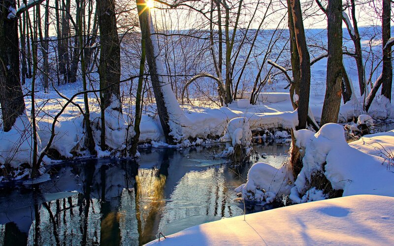 Winter forest stream at sunrise
